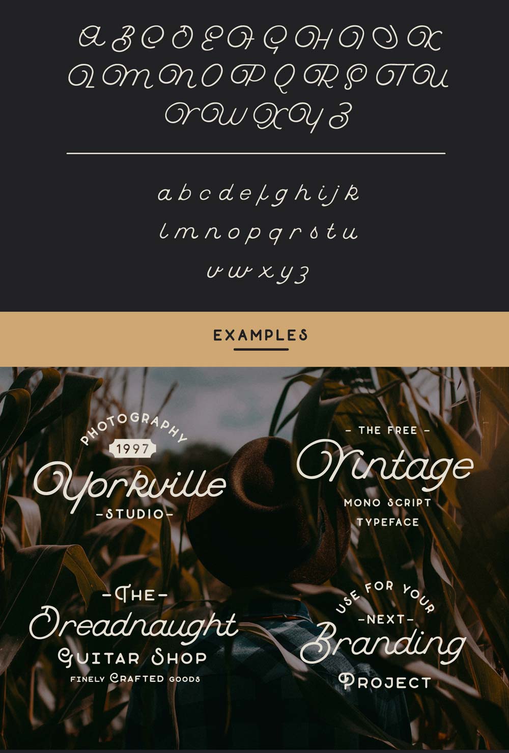 free buffalo font download | examples